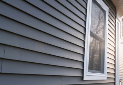 Blue vinyl siding with window