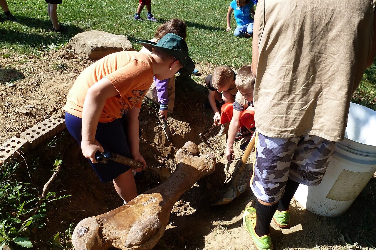 Akron Fossils & Science Center Dinosaur Adventure Camp